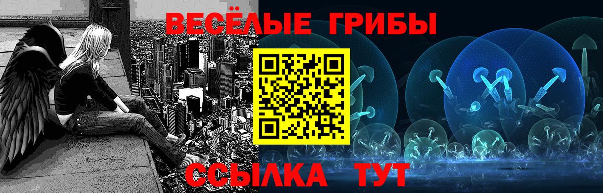 Галлюциногенные грибы мухоморы Когалым